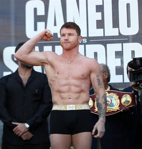 dolce gabbana x canelo|canelo boxing shorts.